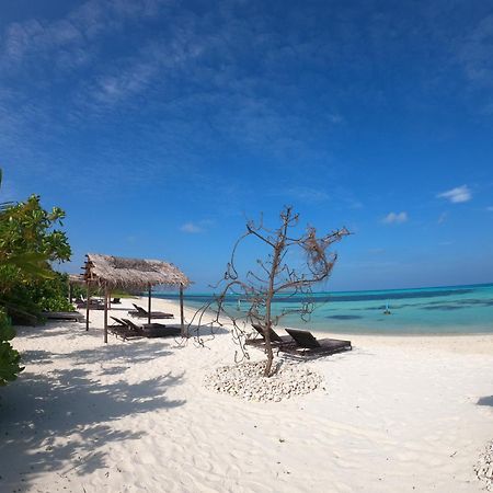 Shamar Guesthouse & Dive Maamigili Kültér fotó