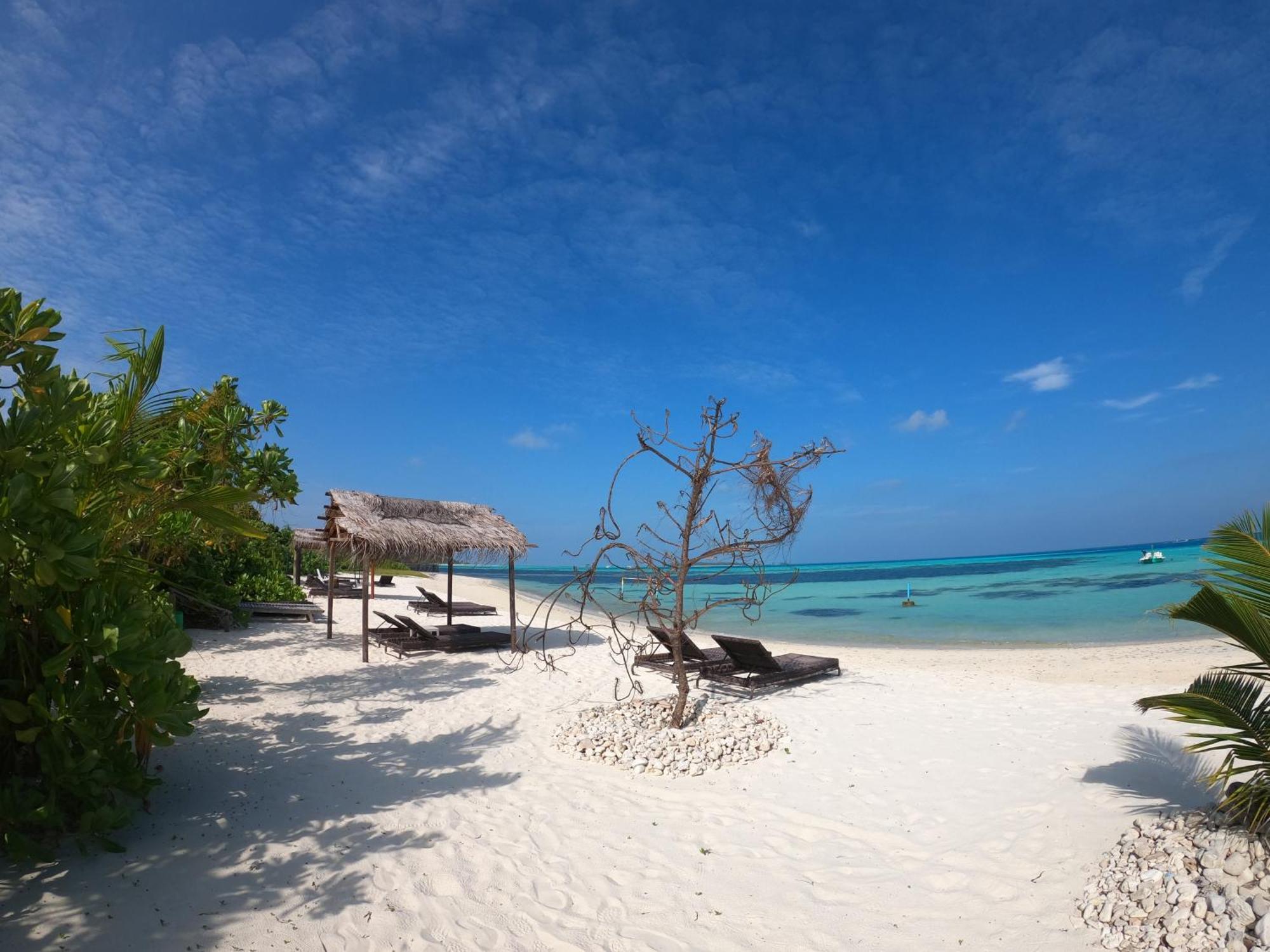 Shamar Guesthouse & Dive Maamigili Kültér fotó