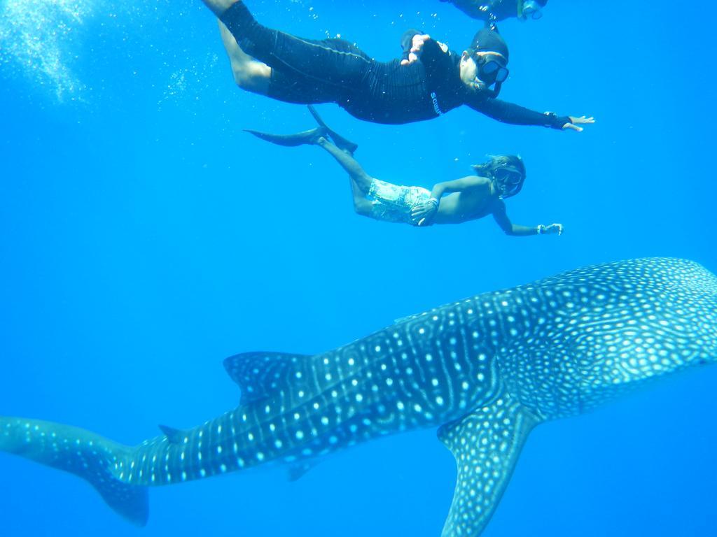 Shamar Guesthouse & Dive Maamigili Kültér fotó