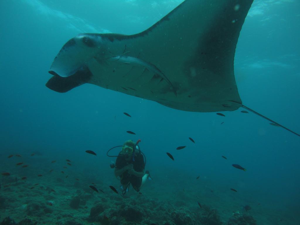 Shamar Guesthouse & Dive Maamigili Kültér fotó