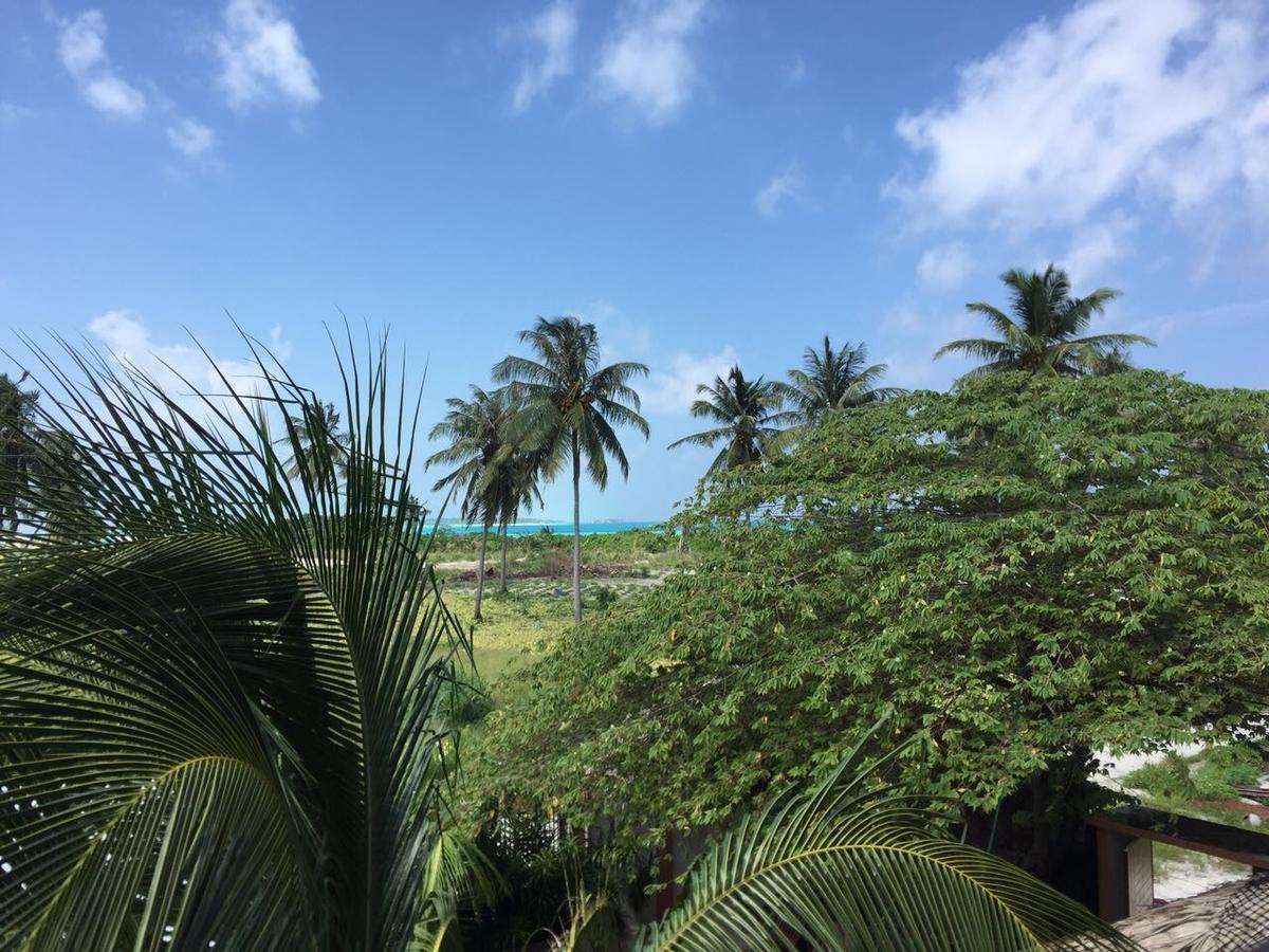 Shamar Guesthouse & Dive Maamigili Kültér fotó